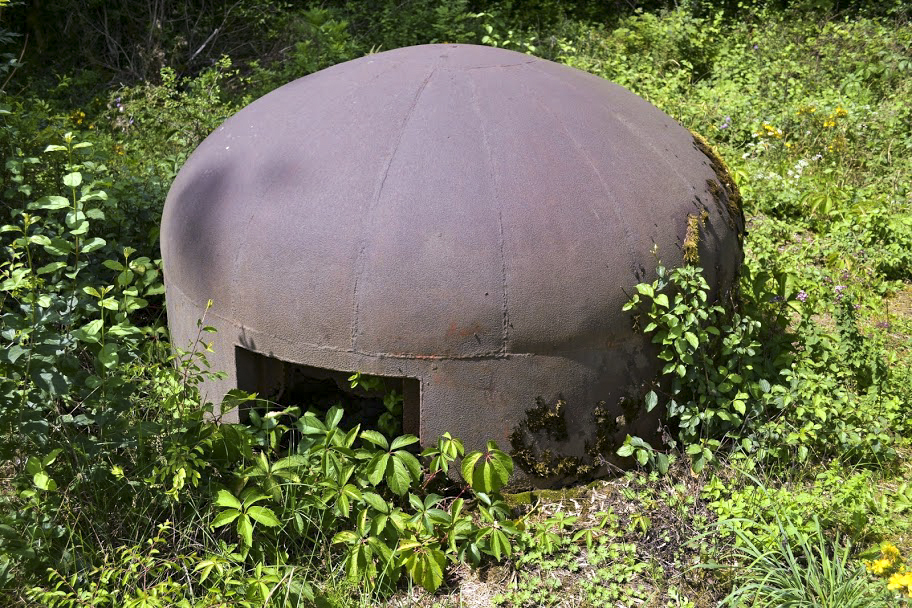 Ligne Maginot - HUMMERSBERG SUD - C54 - (Casemate d'infanterie) - 