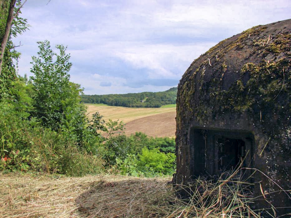 Ligne Maginot - HUMMERSBERG SUD - C54 - (Casemate d'infanterie) - Vue sur le bloc 7 suivi du bloc 9 du G.O. du Hackenberg.