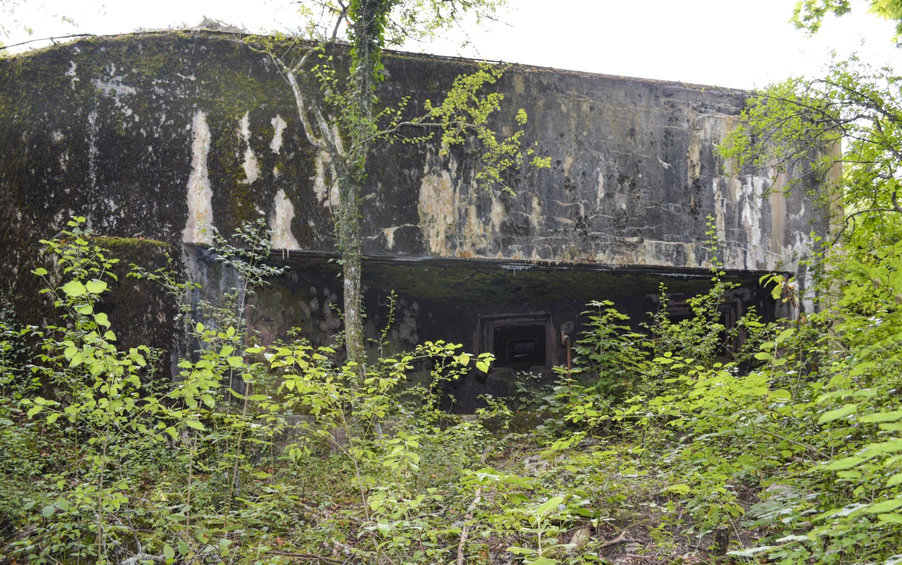 Ligne Maginot - VECKRING NORD - C55 - (Casemate d'infanterie - Simple) -  - ukmaginot