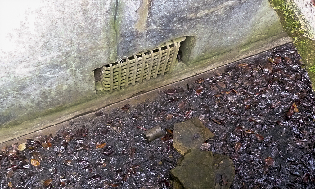 Ligne Maginot - PETERSBERG - X4 - (Abri actif) -  - Sylvie Laure LAMBERT