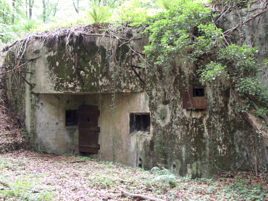Ligne Maginot - BOIS DE KLANG - X24 (QUARTIER KLANG - III/164° RIF) - (Abri) - L'entrée droite