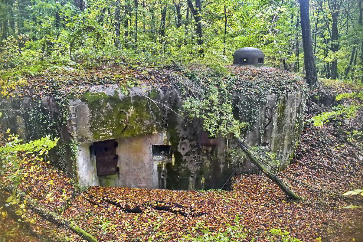 Ligne Maginot - BOIS DE KLANG - X24 (QUARTIER KLANG - III/164° RIF) - (Abri) - Entrée droite
Avec antenne radio, fossé diamant et cloche GFM