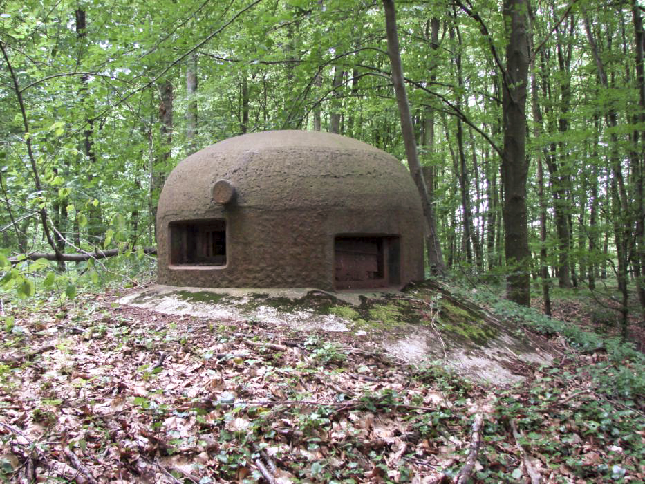Ligne Maginot - BOIS DE KLANG - X24 (QUARTIER KLANG - III/164° RIF) - (Abri) - Cloche GFM de l'entrée gauche
Noter les créneaux décalés destinés à permettre le flanquement du flanc de colline - Schnoupf