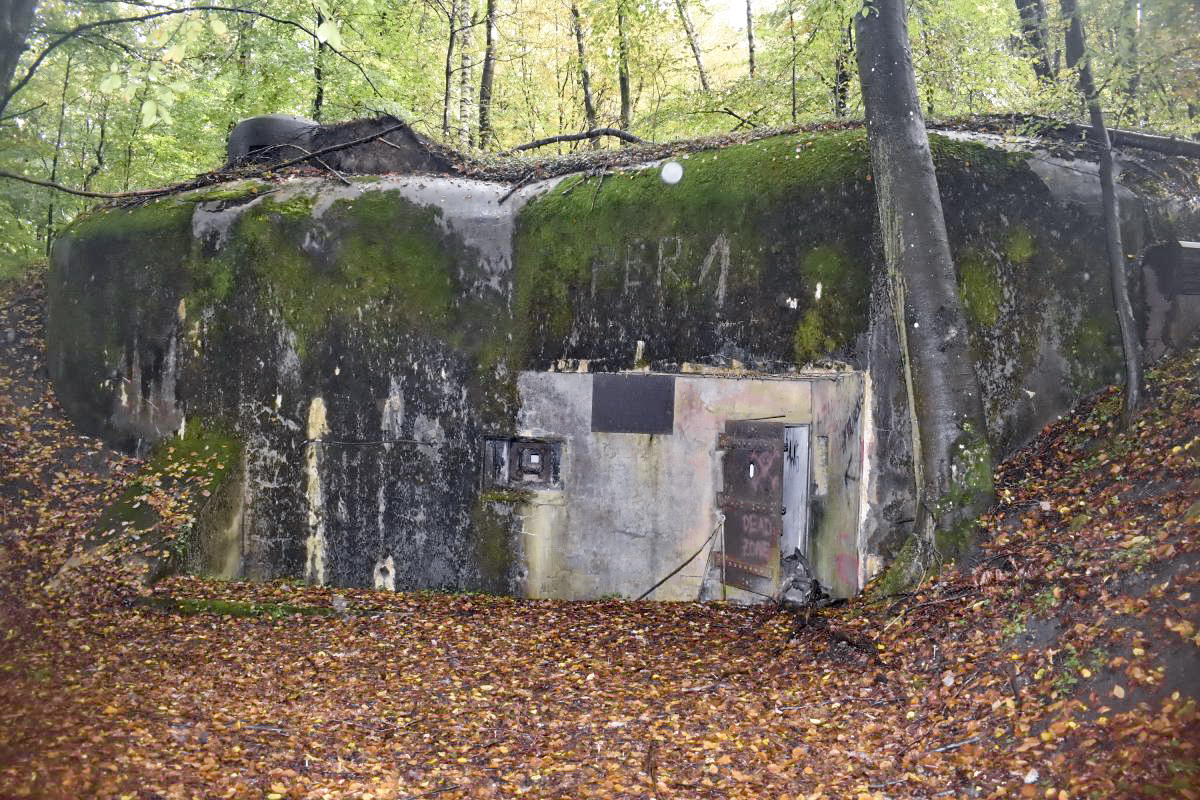 Ligne Maginot - BOIS DE KLANG - X24 (QUARTIER KLANG - III/164° RIF) - (Abri) - Entrée gauche