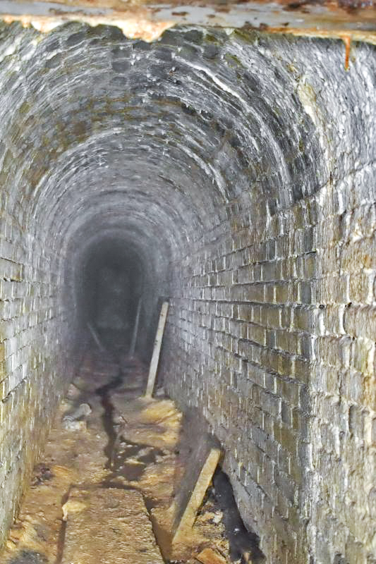 Ligne Maginot - BOIS DE KLANG - X24 (QUARTIER KLANG - III/164° RIF) - (Abri) -  Issue de secours