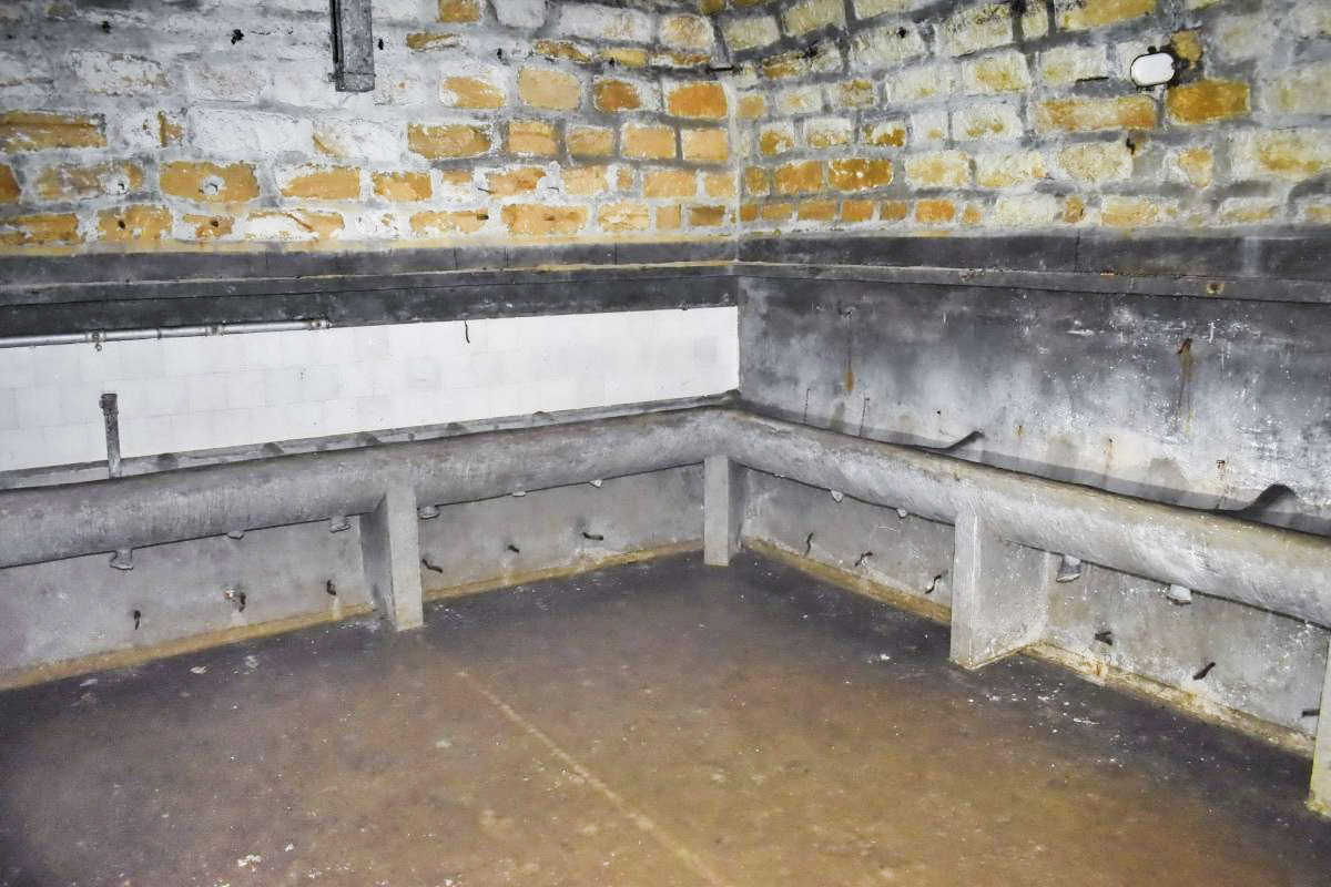 Ligne Maginot - BOIS DE KLANG - X24 (QUARTIER KLANG - III/164° RIF) - (Abri) - Lavabos