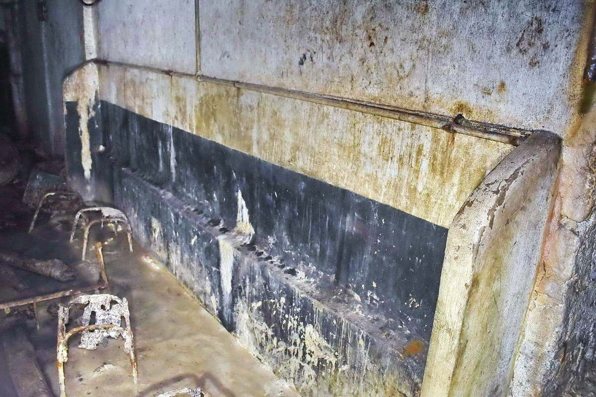 Ligne Maginot - BOIS DE KLANG - X24 (QUARTIER KLANG - III/164° RIF) - (Abri) - Urinoir dans le couloir - Daniel Froehly