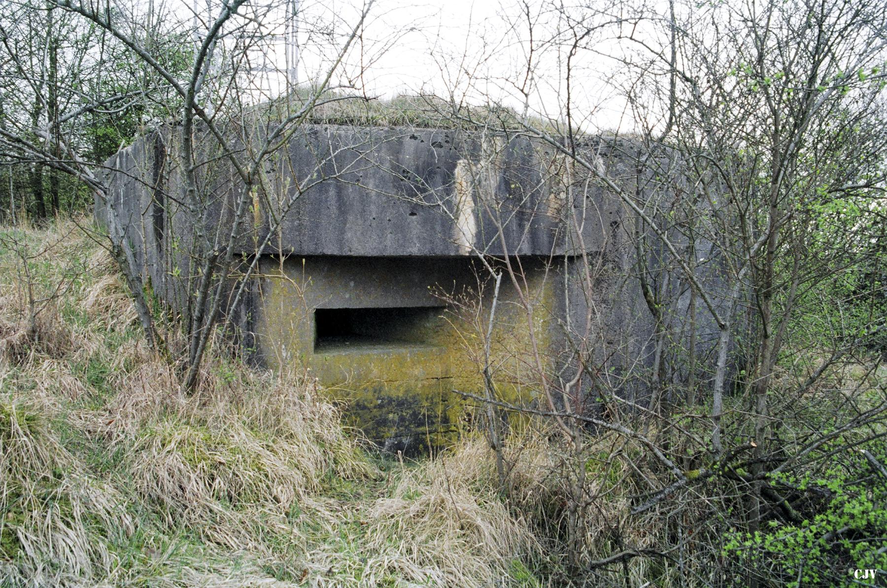 Ligne Maginot - BB11 - BOIS DE KLANG NORD - (Blockhaus pour canon) -  - Lia VERMEULEN