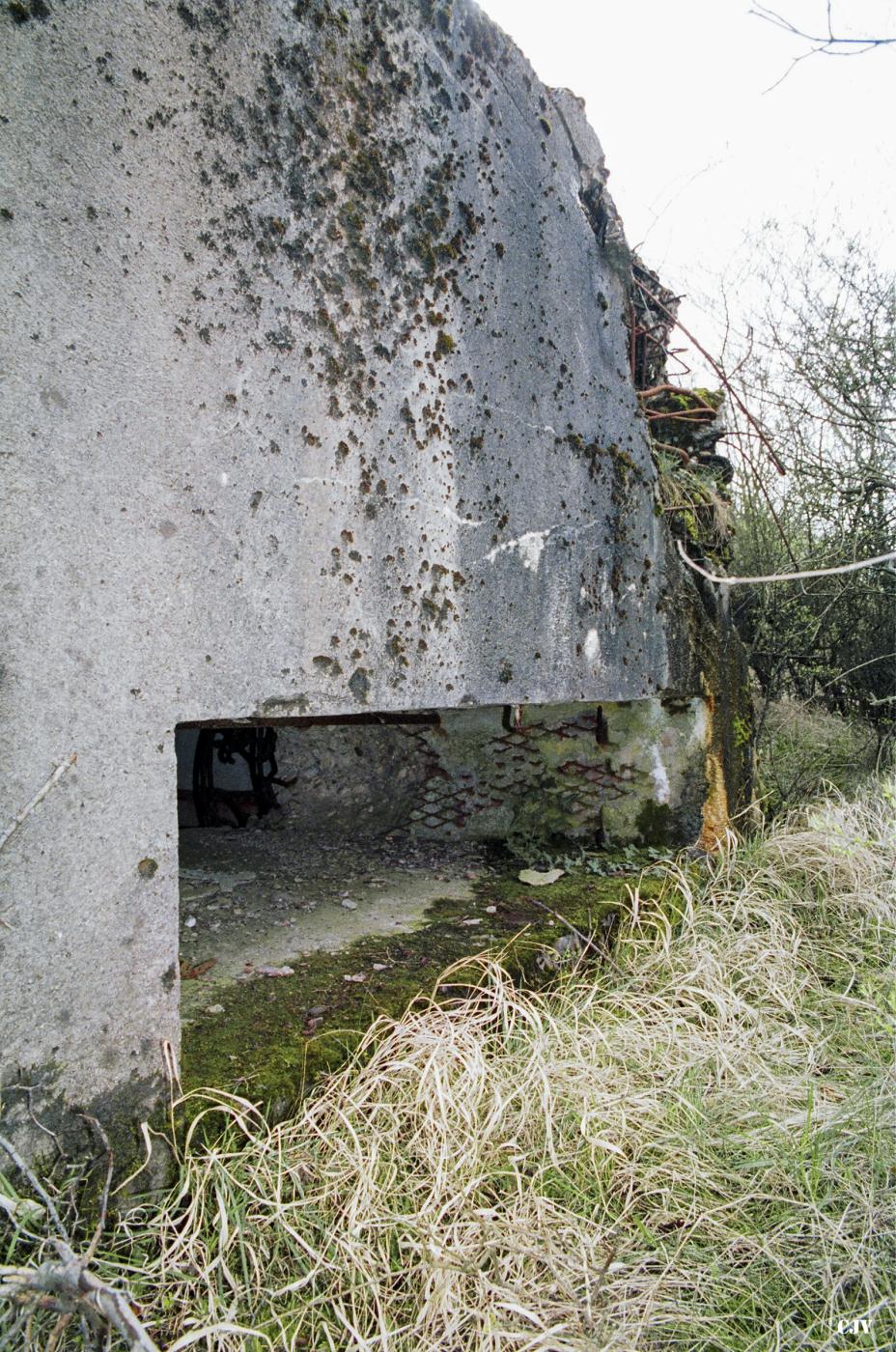 Ligne Maginot - BB11 - BOIS DE KLANG NORD - (Blockhaus pour canon) - 