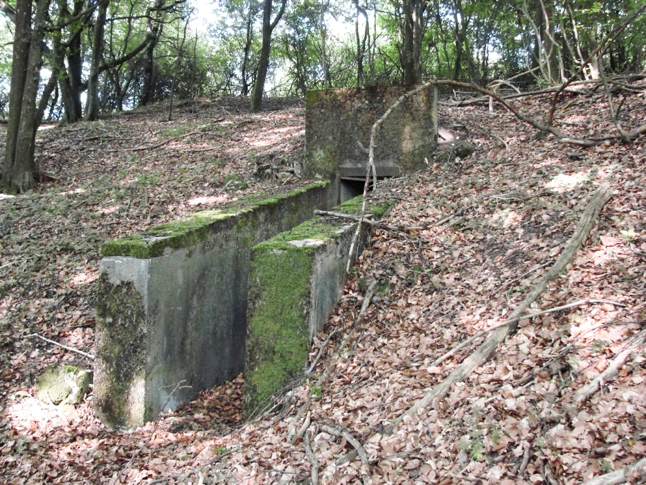 Ligne Maginot - BOIS DE KLANG (CM9 - III/164° RIF) - (PC de Sous-Quartier) - L'entrée