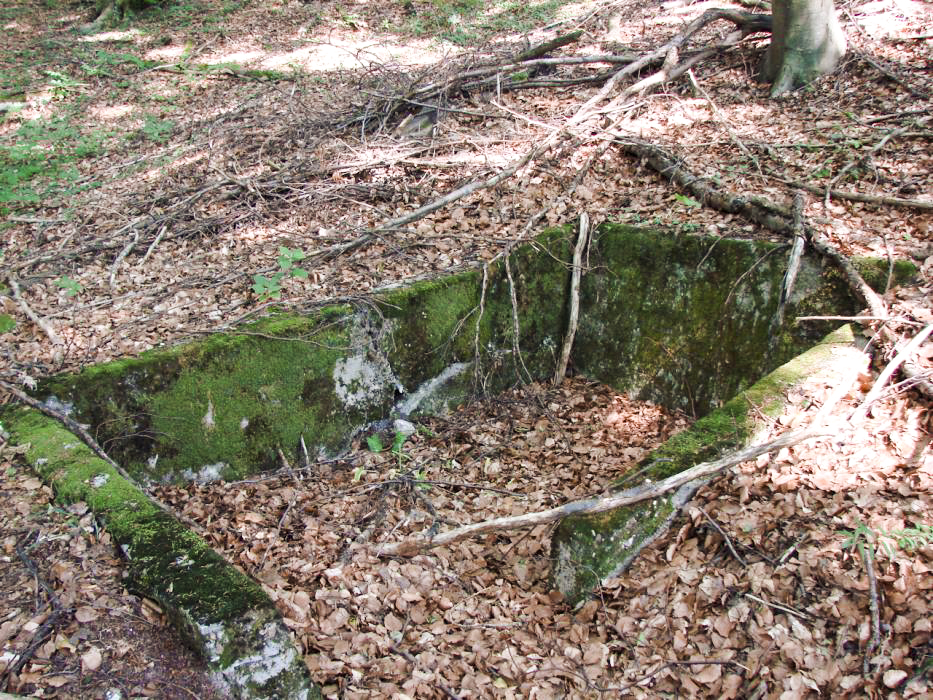 Ligne Maginot - BOIS DE KLANG (CM9 - III/164° RIF) - (PC de Sous-Quartier) - Aux alentours
La second alvéole. Elle est reliée a la première par une tranchée.