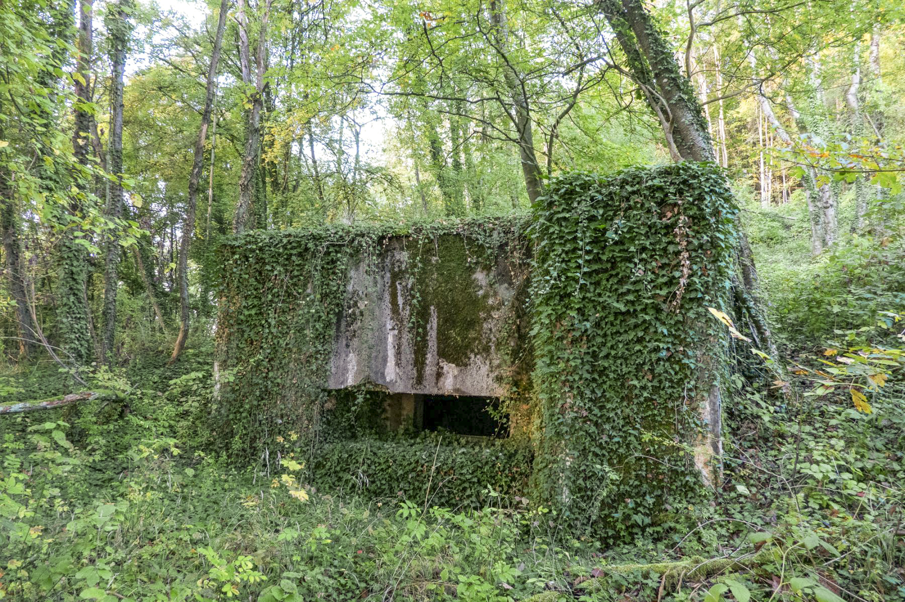 BB365 - EICHEN 2 - (Blockhaus pour canon)