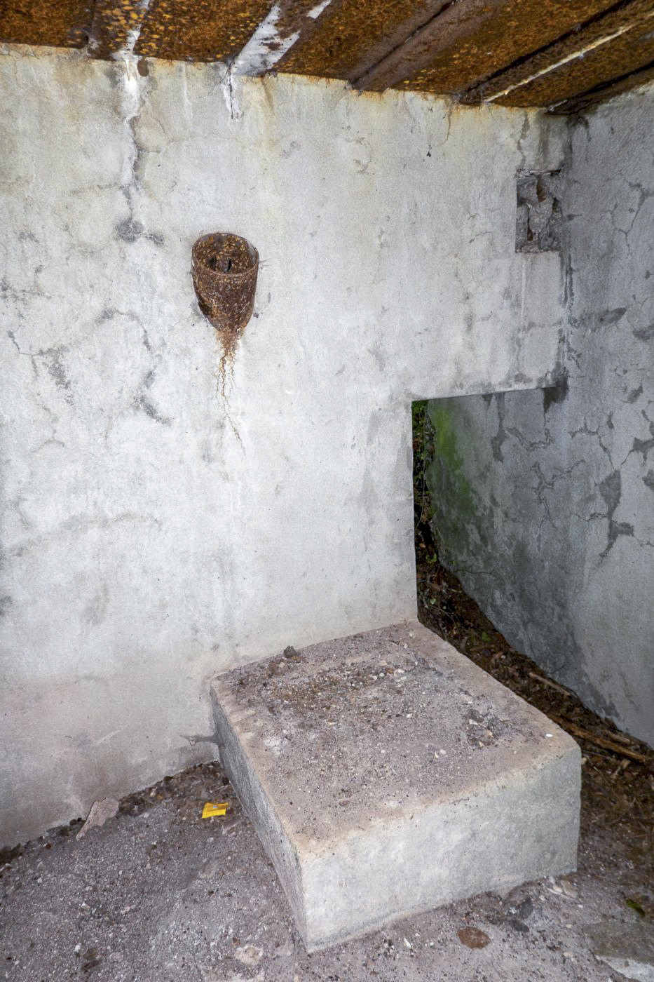 Ligne Maginot - BB365 - EICHEN 2 - (Blockhaus pour canon) -  - Michel Teiten