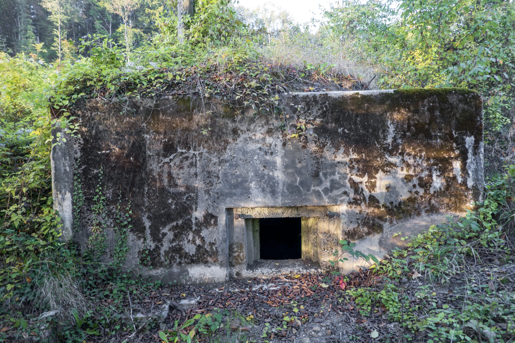 Ligne Maginot - BB367 - EICHEN 1 - (Blockhaus pour arme infanterie) -  - Michel Teiten
