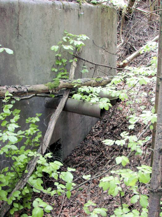 Ligne Maginot - BB367 - EICHEN 1 - (Blockhaus pour arme infanterie) - L'entrée