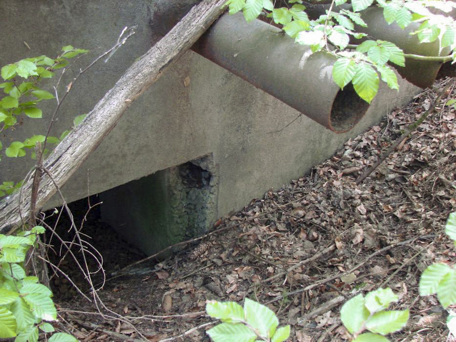Ligne Maginot - BB367 - EICHEN 1 - (Blockhaus pour arme infanterie) - L'entrée