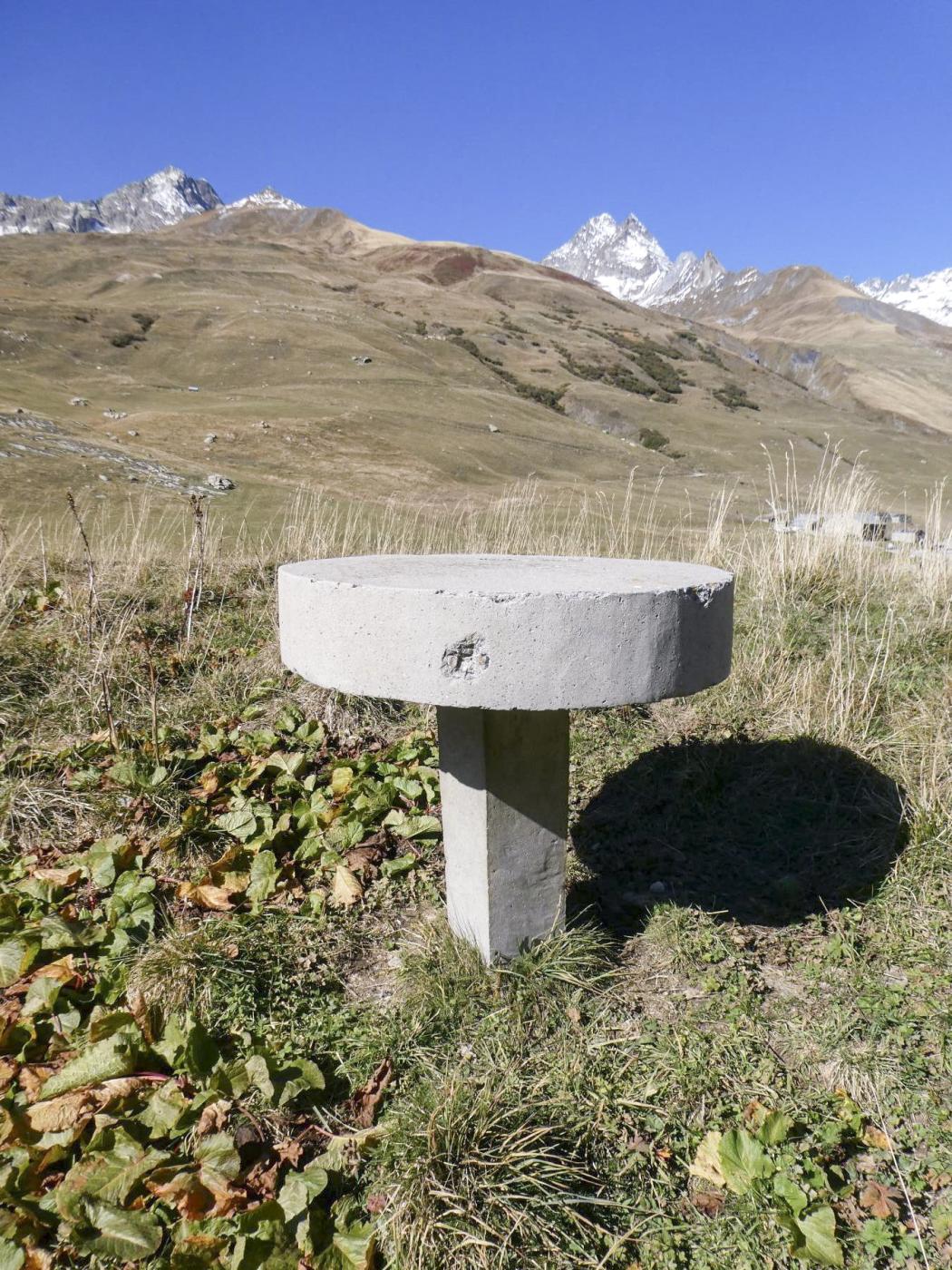Ligne Maginot - SELOGES - (Ouvrage d'infanterie) - Table d'orientation sur les dessus  - ELLENA Daniel - CUNY Philippe