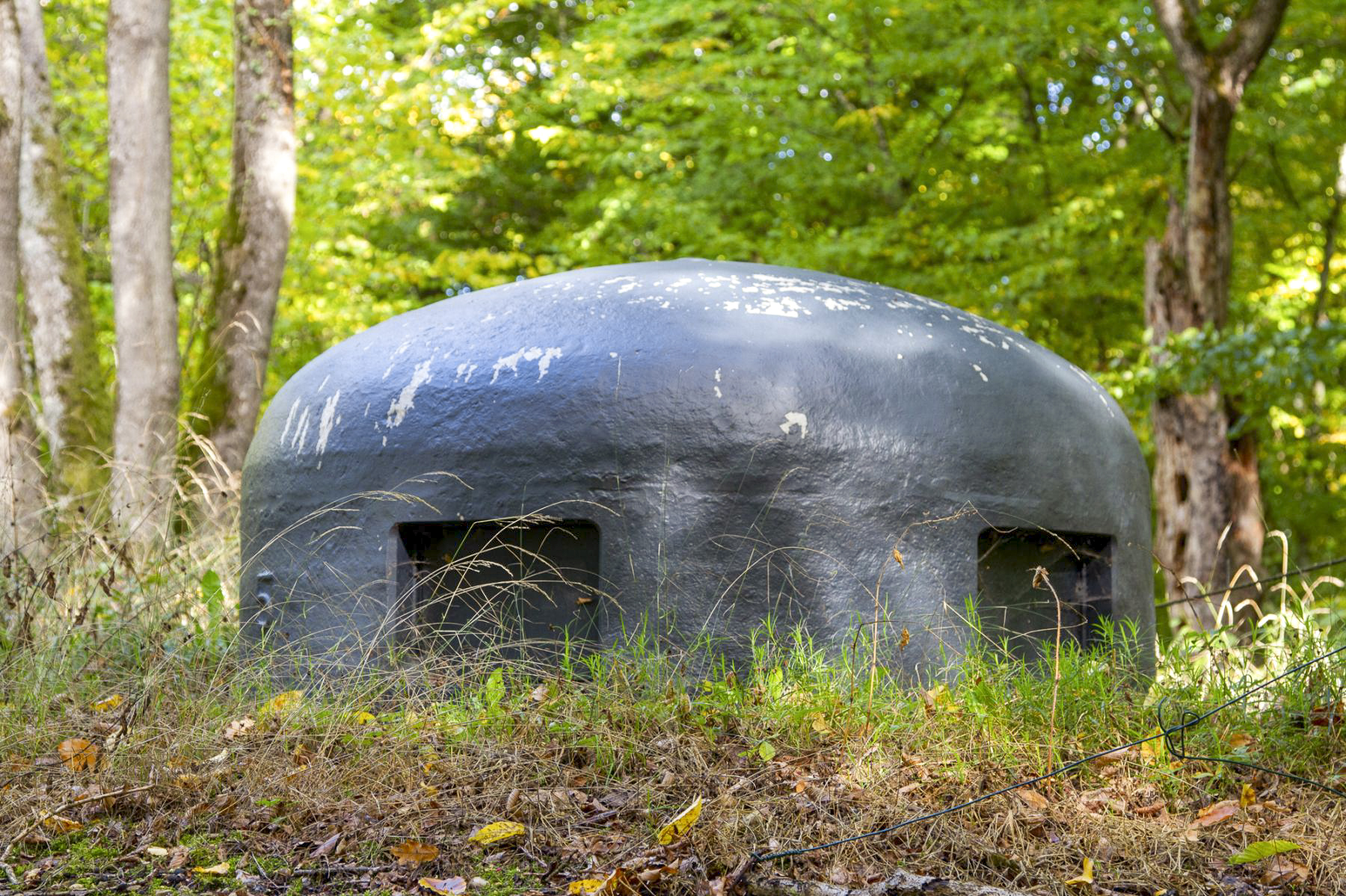 Ligne Maginot - HUBERBUSCH NORD  - C58 - (Casemate d'infanterie - Simple) - Cloche GFM - Michel Teiten