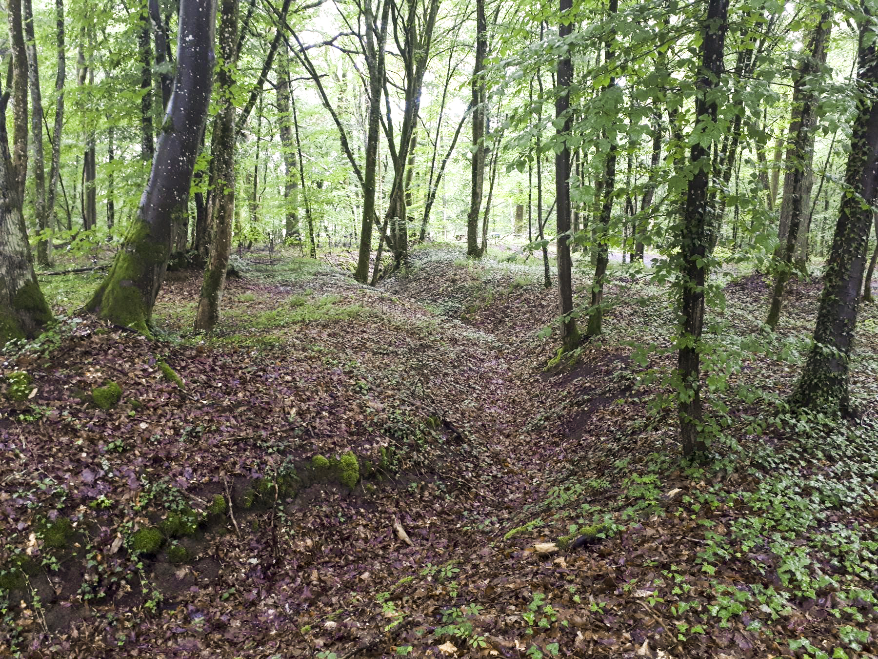 Ligne Maginot - HUBERBUSCH NORD  - C58 - (Casemate d'infanterie) - Tranchée entre les deux casemates - Gregory Fuchs