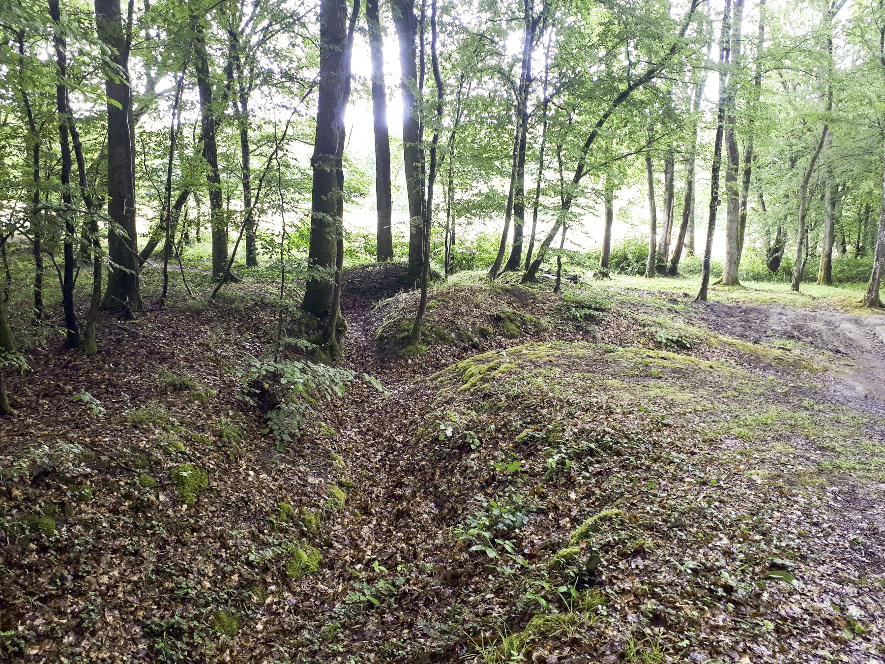 Ligne Maginot - HUBERBUSCH NORD  - C58 - (Casemate d'infanterie) - Tranchée à l'arrière de la casemate Nord - Gregory Fuchs