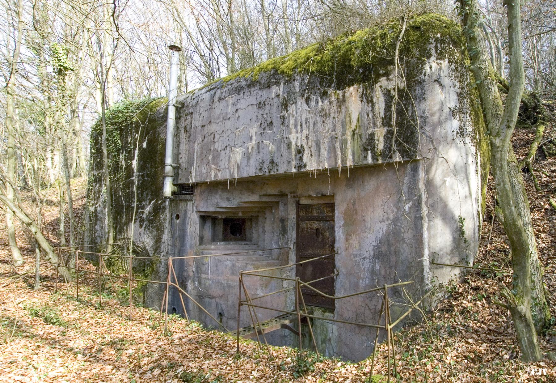 Ligne Maginot - BOIS DE FERANGE - X27 - (Abri) - L'entrée ouest