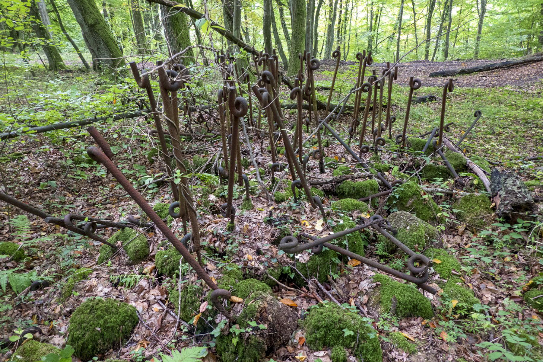 Ligne Maginot - CHENES BRULES - X23 - (Abri) - Reste du réseau de barbelés devant le coffre nord - Michel Teiten