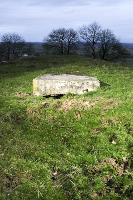 Ligne Maginot - O46 - SONNENBERG - (Observatoire d'artillerie) - La galerie d'accès au poste d'observation. Longue de quelques mètres, elle est par ailleurs raccordée à un réseau de tranchées, encore visibles de nos jours.

L’accès à l'abri se situerait perpendiculairement, à gauche.