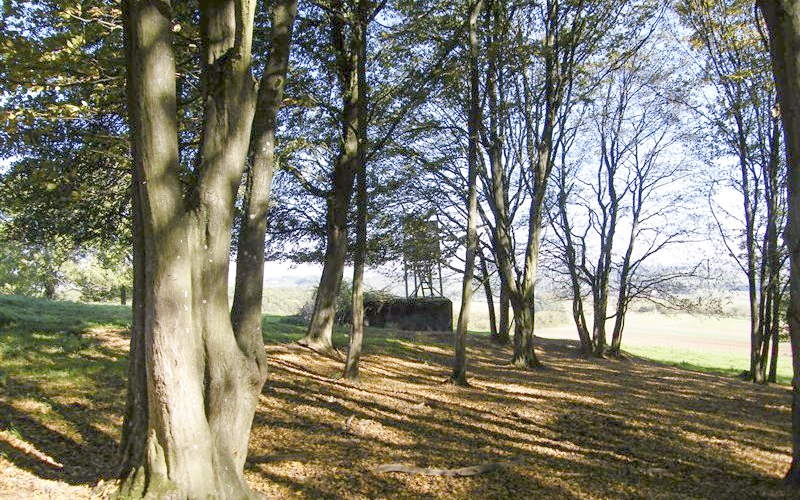 Ligne Maginot - SONNENBERG 02 - (Blockhaus pour arme infanterie) -  - Jean-Louis AUBLET & Sylvie MAINGUIN