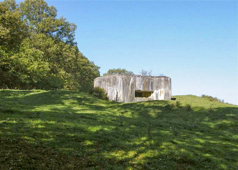Ligne Maginot - CB116 - SONNENBERG 01 - (Blockhaus pour canon) - 