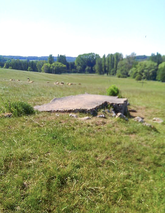 Ligne Maginot - STERNBUSCH 2 - (Blockhaus pour arme infanterie) - 