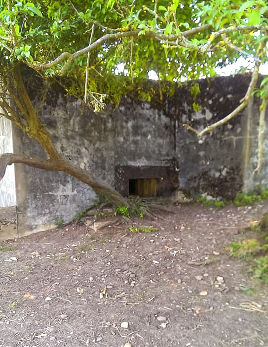 Ligne Maginot - STERNBUSCH - (Blockhaus de type indeterminé) - Vue sur le creneau