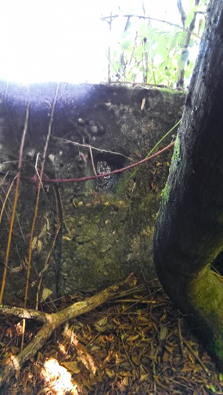 Ligne Maginot - BB346 - PFAFFENKLAUSERBUSCH OUEST - (Blockhaus pour arme infanterie) -      - Gilbert Hastert