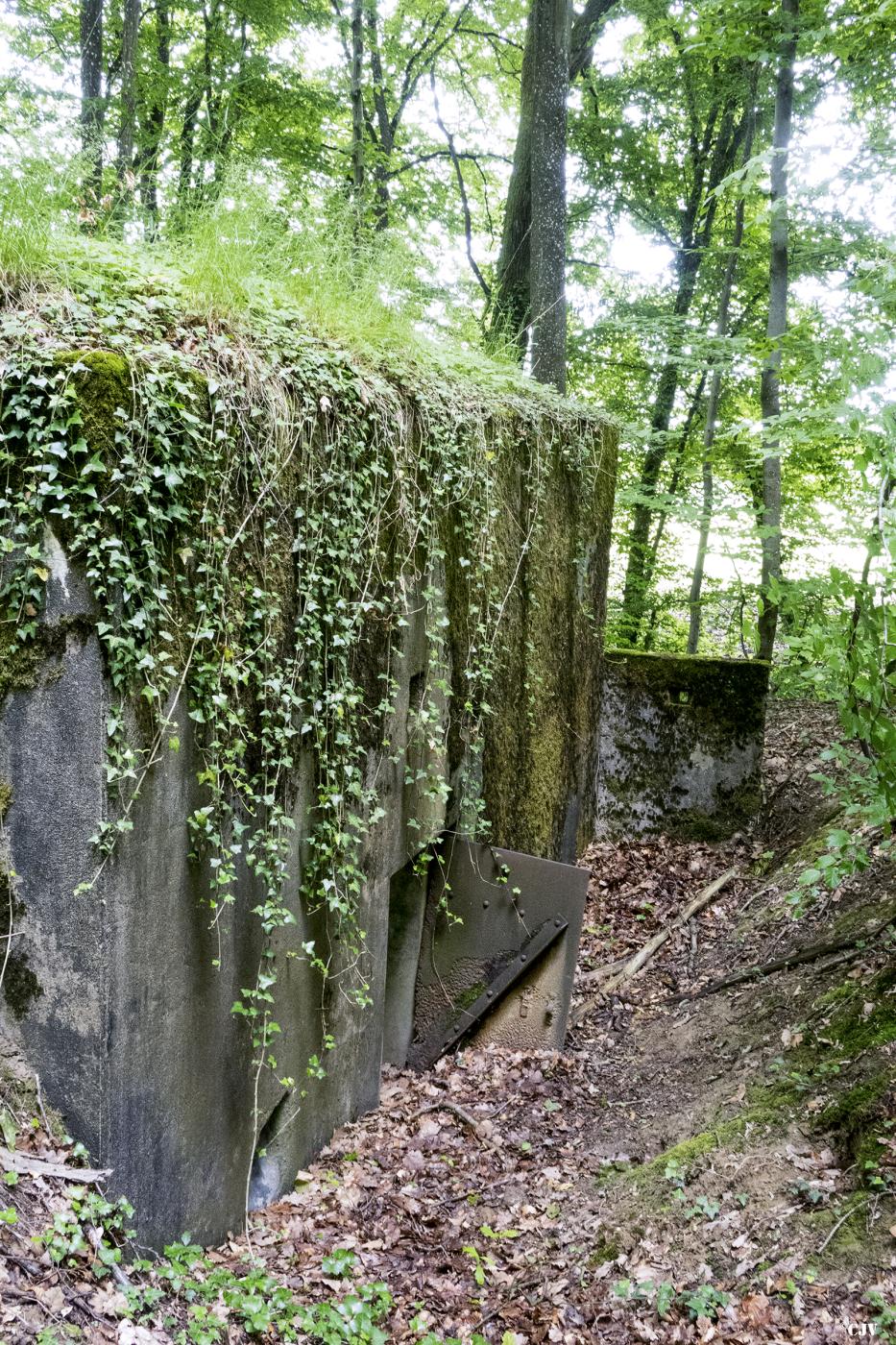 Ligne Maginot - BB321 - (Blockhaus pour arme infanterie) - 