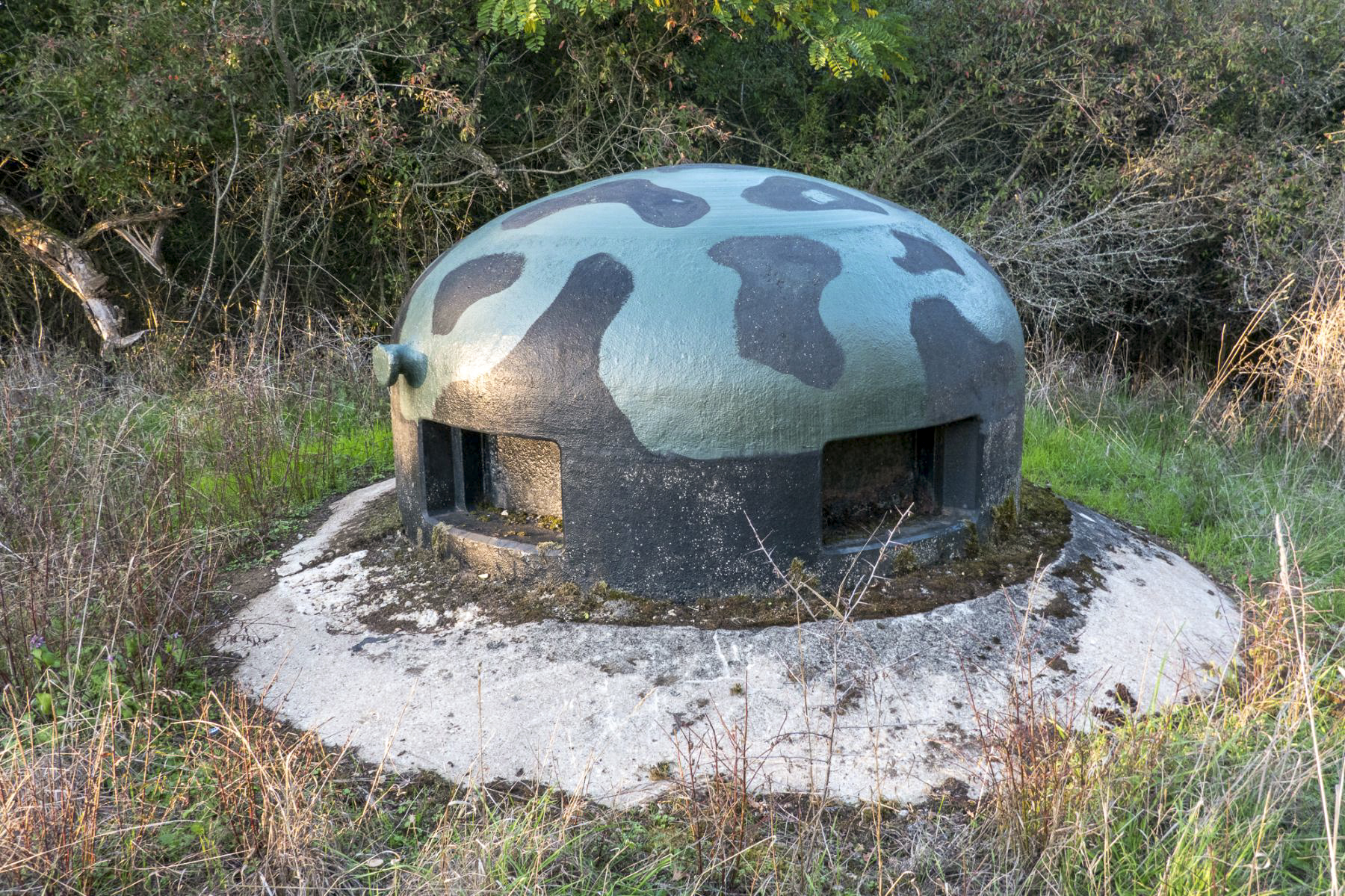 Ligne Maginot - HESTROFF - X29 - (Abri) - Cloche GFM - Michel Teiten