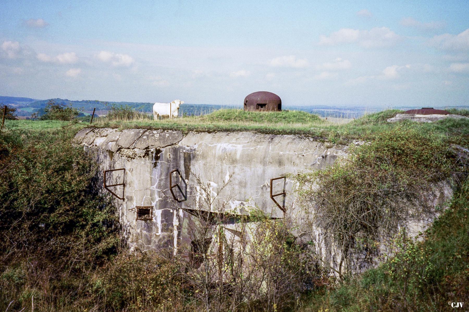 Ligne Maginot - HESTROFF - O10 - (Observatoire d'artillerie) - 