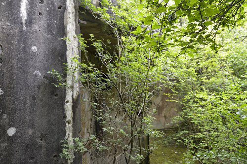Ligne Maginot - LANGHEP SUD - (Casemate d'infanterie - Simple) - La casemate étant noyée par la végétation, je n'ai pu faire une vue d'ensemble .