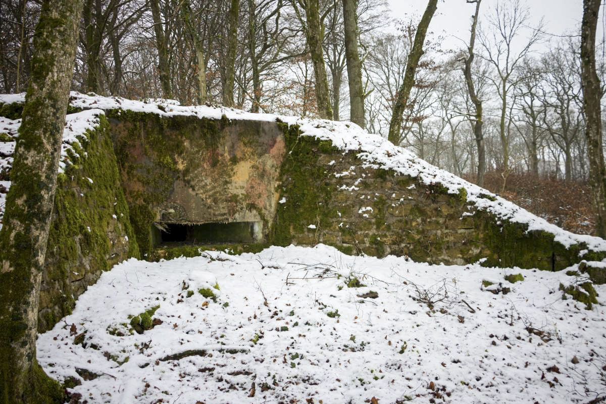 Ligne Maginot - BB9 - (Blockhaus pour arme infanterie) - Embrasure frontale et camouflage