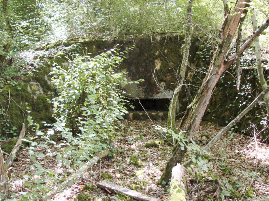 Ligne Maginot - BB9 - (Blockhaus pour arme infanterie) - Créneau en direction de la route menant vers l'entrée mixte de l'ouvrage d'artillerie du Michelsberg A22.