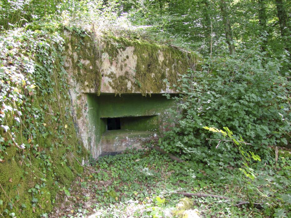 Ligne Maginot - BB9 - (Blockhaus pour arme infanterie) - Créneau donnant sur la route D188h en direction de Dalstein - Schnoupf