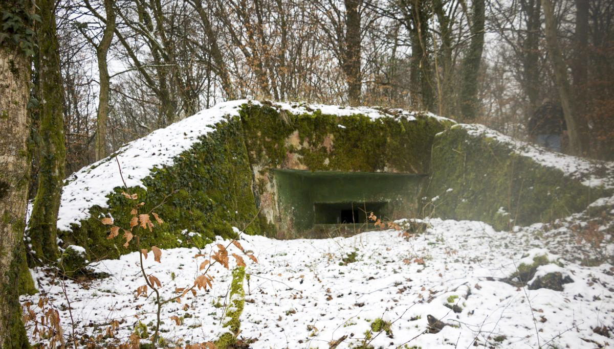 Ligne Maginot - BB9 - (Blockhaus pour arme infanterie) - Embrasure gauche