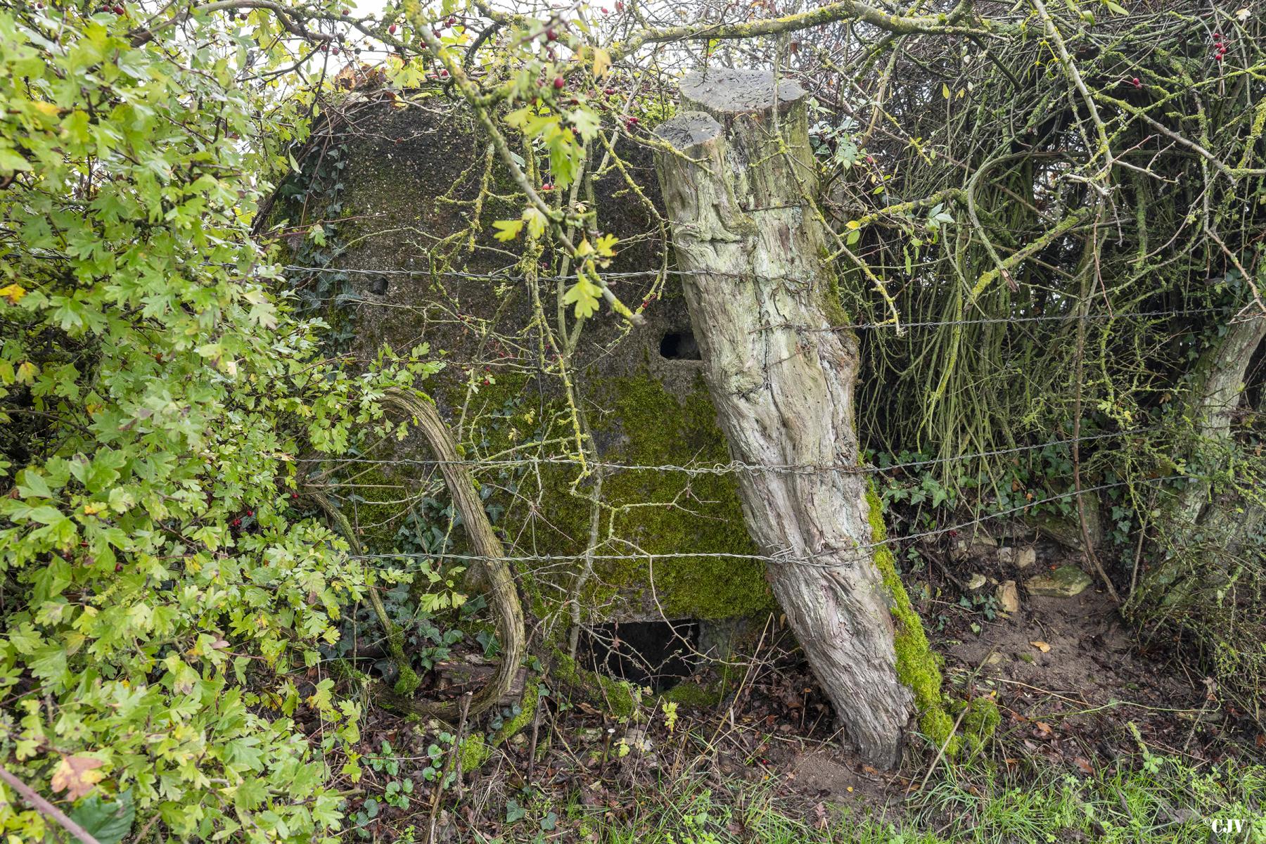 Ligne Maginot - BB22-C - MUEHLENWEG OUEST - (Observatoire d'infanterie) - L'entrée - Lia VERMEULEN