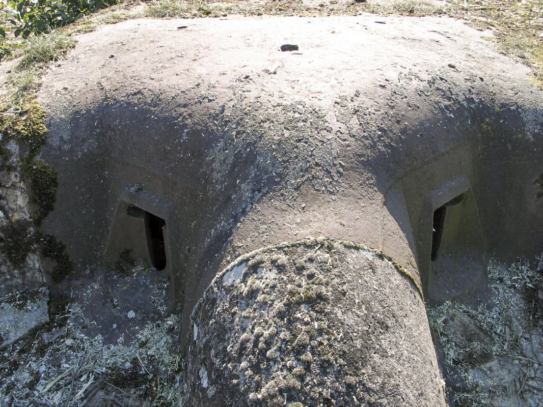 Ligne Maginot - BCP1 - MUEHLENWEG EST - (Blockhaus pour arme infanterie) - Les 2 crénaux