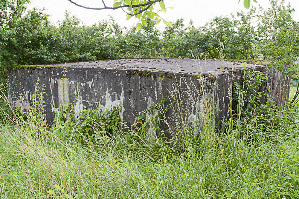 Ligne Maginot - CB74 - CIMETIERE DE SENTZICH - (Blockhaus pour arme infanterie) - Vue arrière du bloc