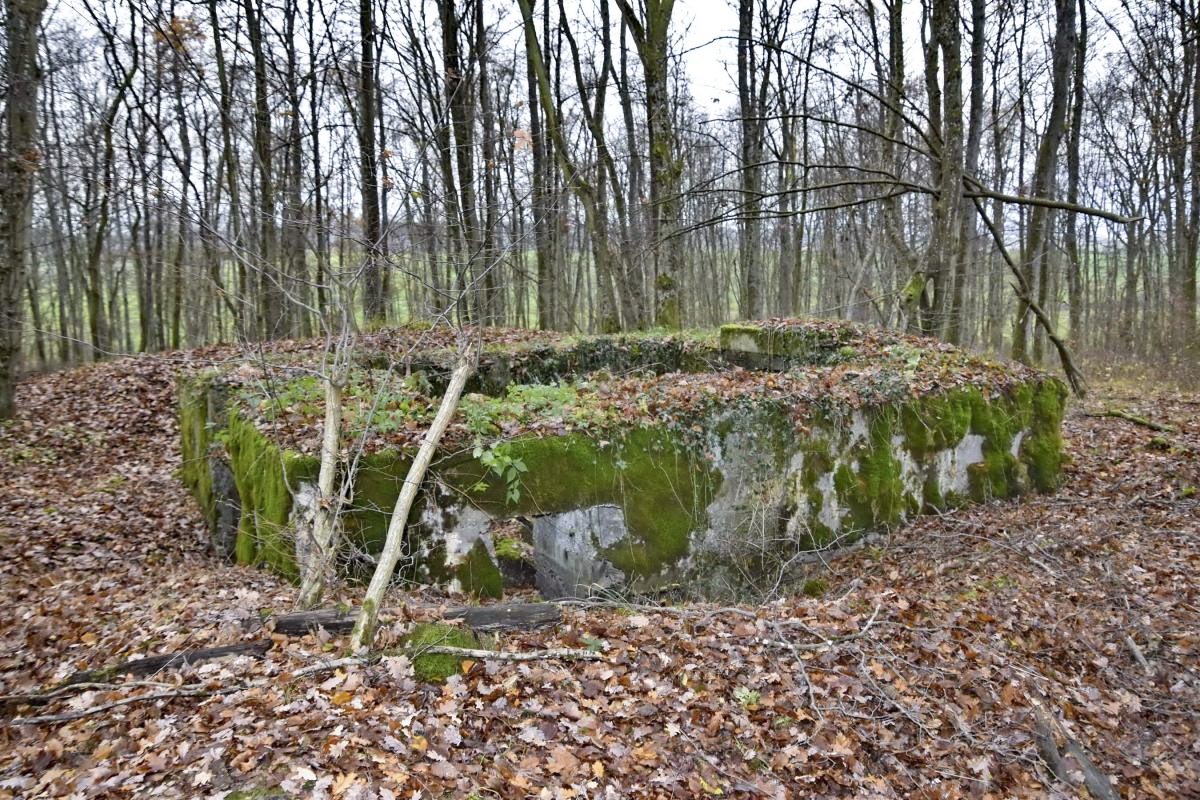 Ligne Maginot - CB224 - BOIS DE CATTENOM 06 - (Blockhaus pour canon) - Coté entrée des hommes