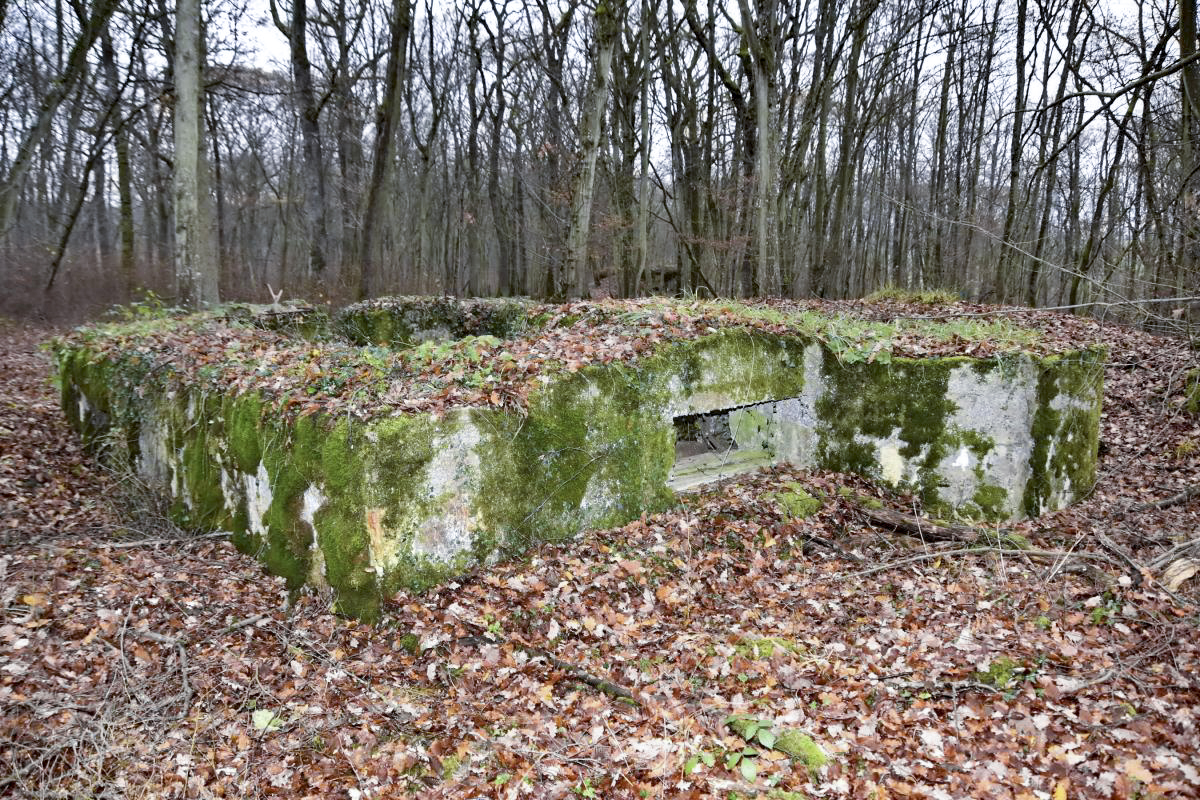 Ligne Maginot - CB224 - BOIS DE CATTENOM 06 - (Blockhaus pour canon) - Coté créneau de tir