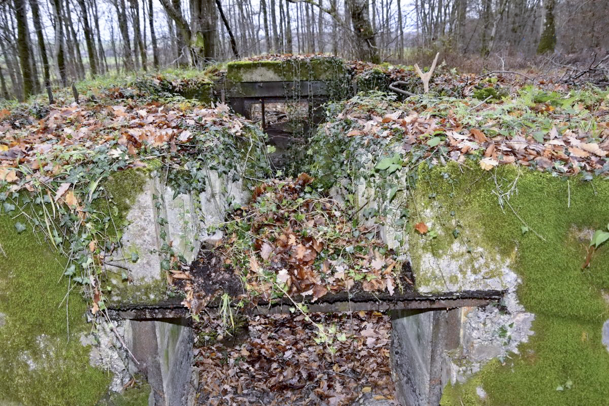 Ligne Maginot - CB224 - BOIS DE CATTENOM 06 - (Blockhaus pour canon) - Vue extérieur du créneau de défense rapprochée.