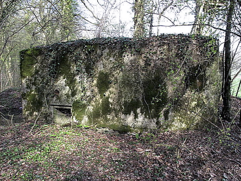 Ligne Maginot - DALEM EST - (Blockhaus pour canon) - 