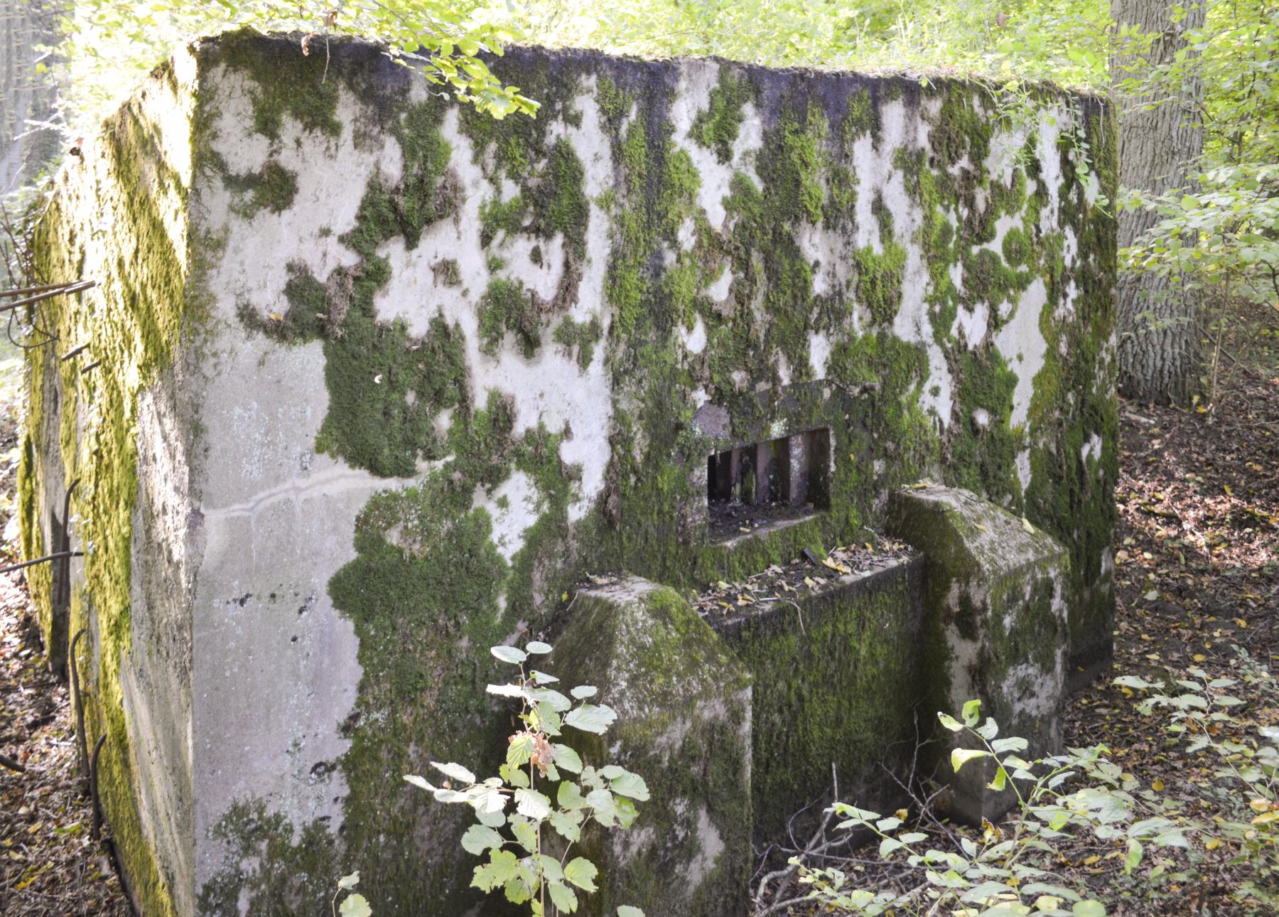 Ligne Maginot - CB171 - YELLE 01 - (Blockhaus pour arme infanterie) -  - ukmaginot