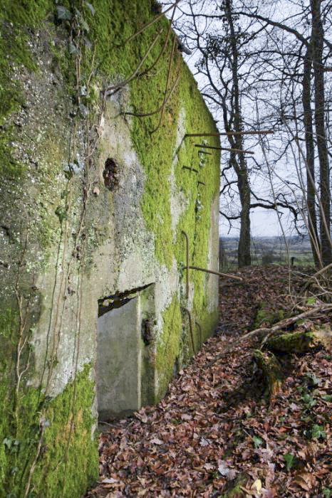 Ligne Maginot - CB171 - YELLE 01 - (Blockhaus pour arme infanterie) - Le blockhaus n’était vraisemblablement pas totalement achevé en 1940, comme en témoignent les fers à béton non coupés.