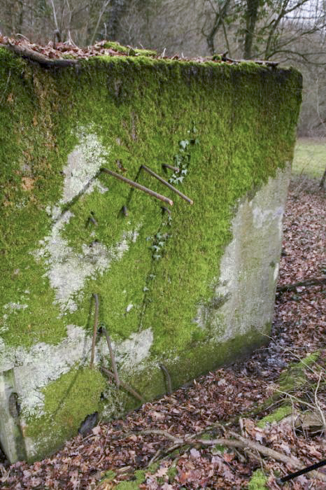 Ligne Maginot - CB171 - YELLE 01 - (Blockhaus pour arme infanterie) - Fers à béton non coupés. Ils sont nombreux à en être ainsi sur toute la structure du blockhaus.